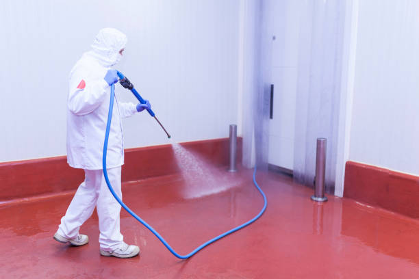 Best Window and Screen Pressure Cleaning in Four Corners, TX